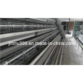Jinfeng Automated Broile Farming Cage